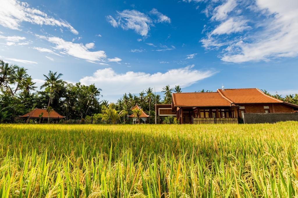 Maluhia Haven Villa อูบุด ภายนอก รูปภาพ